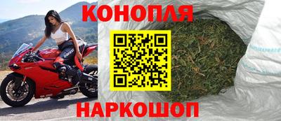 прущие грибы Анапа