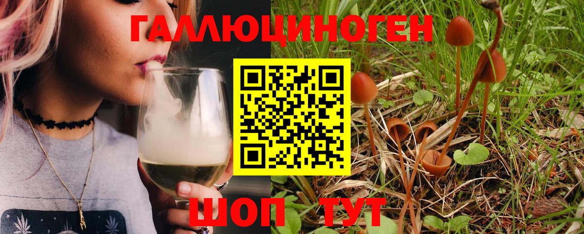 Псилоцибиновые грибы Magic Shrooms  сколько стоит  Всеволожск  Вход с VPN  Псилоцибиновые грибы Cubensis 